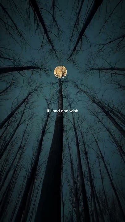 From Heartbreak to Hope: 60+ Message Ideas Inspired by "If I Had One Wish" Lyrics by Ray J