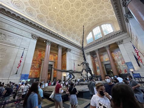 Your Ultimate Guide to the Museum of Natural History New York: Pay What You Wish Like a Pro