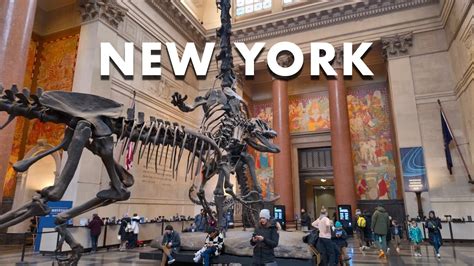 Pay What You Wish at the American Museum of Natural History: A Guide to Making Your Visit Magical