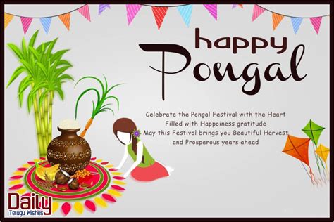 Happy Pongal! 50+ Best Pongal Wishes in English for Every Occasion