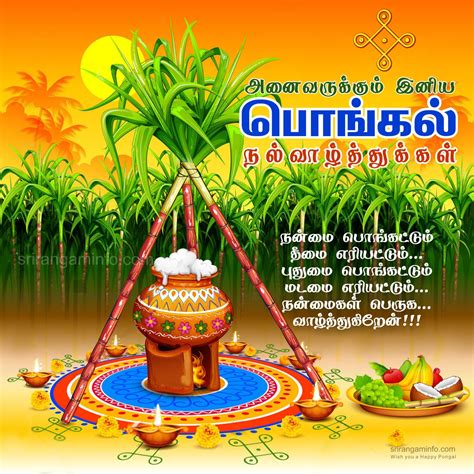 Find the Perfect Pongal Wishes in Tamil for Everyone in Your Life