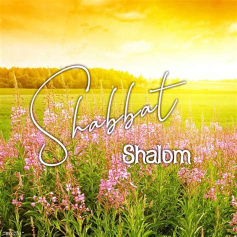 Shabbat Shalom Wishes