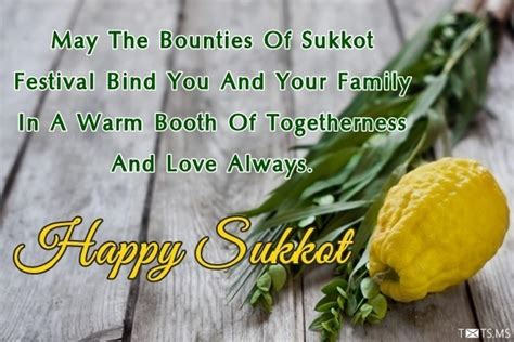 Chag Sameach! 50+ Perfect Sukkot Wishes for Friends and Family