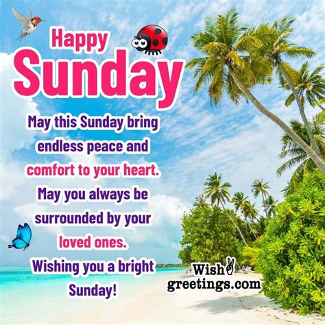 The Ultimate Collection of Sunday Wishes to Brighten Anyone's Day