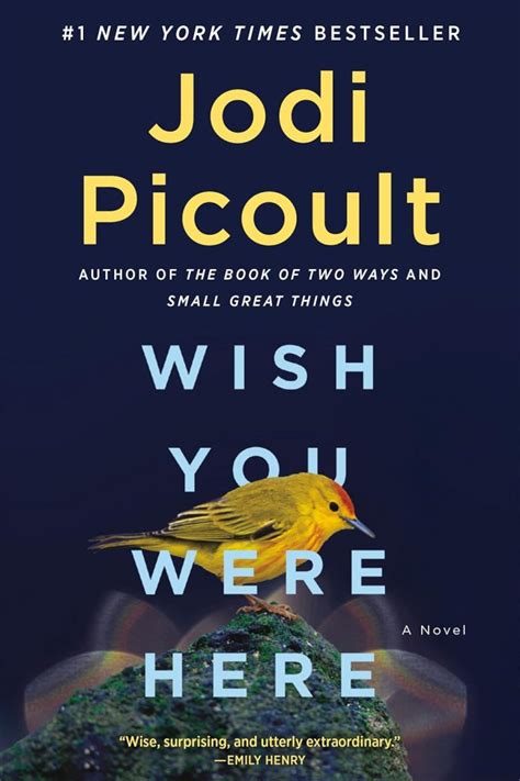 Synopsis Of Wish You Were Here Jodi Picoult