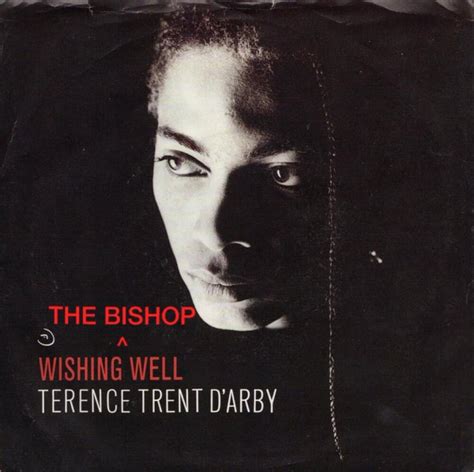 More Than Just a Chorus: A Creative Guide to Terence Trent D'Arby's 'Wishing Well' Lyrics
