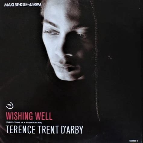 Wishing You Well: 50+ Creative Messages Inspired by Terence Trent D'Arby's 'Wishing Well'