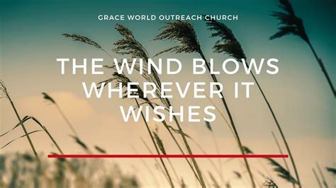 The Wind Blows Where It Wishes: 60+ Beautiful Messages for Life's Great Adventures & Uncertainties