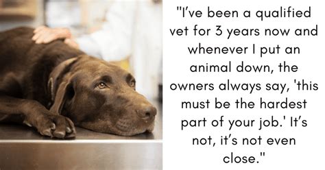 A Heartfelt Guide: 40+ Things I Wish I Did Before Putting My Dog Down