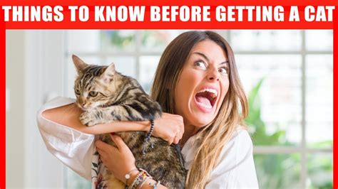 Things I Wish I Knew Before Getting A Second Cat