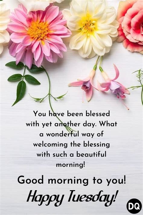 Rise and Shine! 50+ Tuesday Good Morning Wishes (Latest & Most Creative)