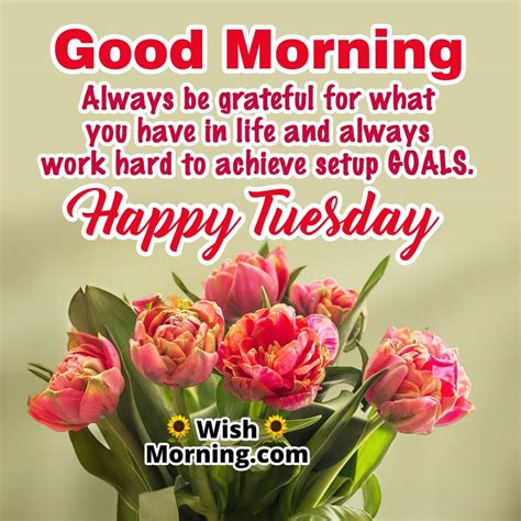 The Ultimate Guide to Perfect Tuesday Morning Wishes to Spark Joy and Motivation