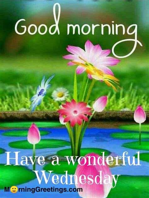 Over the Hump & Shining Bright: Your Ultimate Guide to Wednesday Good Morning Wishes