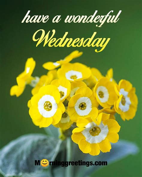 The Ultimate Guide to Wednesday Wishes Images: 50+ Messages to Brighten Anyone's Hump Day