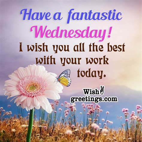 More Than Just Hump Day: Your Ultimate Guide to Wonderful Wednesday Wishes