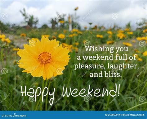 60+ Perfect Weekend Wishes to Share with Friends, Family, and Colleagues