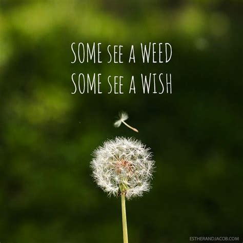 More Than a Weed: 50+ Perfect Dandelion Wishes for Hope, Dreams, and New Beginnings