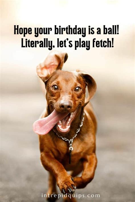 The Ultimate Guide to "Wish Dog" Messages: What to Write for Every Pawsible Occasion