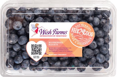 A Berry Sweet Gesture: What to Write in a Card with Wish Farms Blueberries