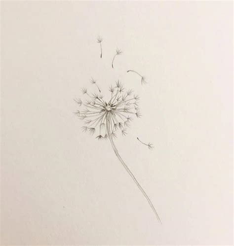 Inking Your Hopes: 50+ Perfect Quotes & Wishes for Your Wish Flower Tattoo