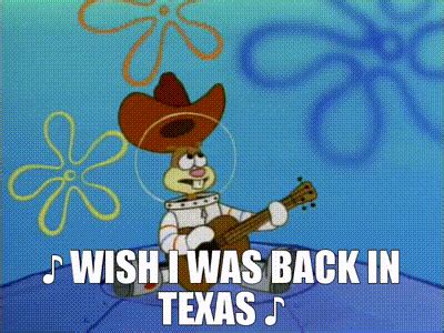 Finding the Words: Your Ultimate Guide to 'Wish I Was Back in Texas' Lyrics