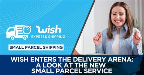 Your Perfect Wish Package Delivery: 60+ Messages to Send a Little Love