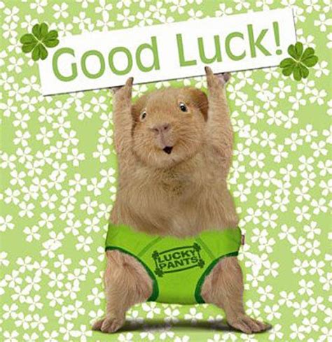 More Than Just 'Good Luck': 60+ Creative Ways to Wish You Luck