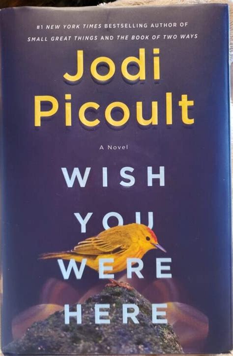 Lost in the Plot? Your Complete "Wish You Were Here" by Jodi Picoult Summary
