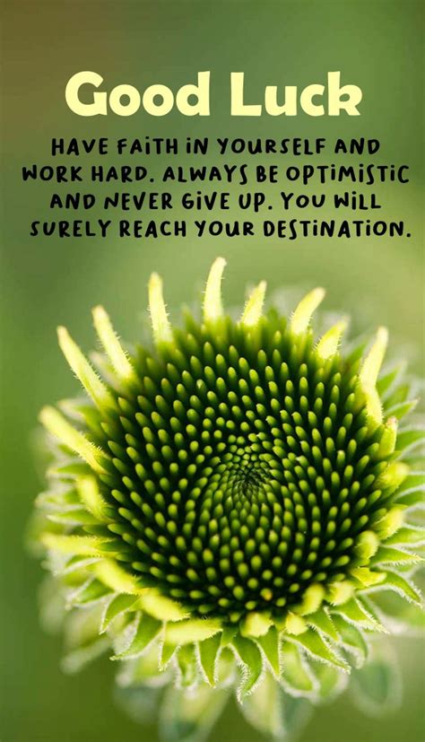 Your Ultimate Guide to Writing Perfect Wishes of Luck for Any Situation