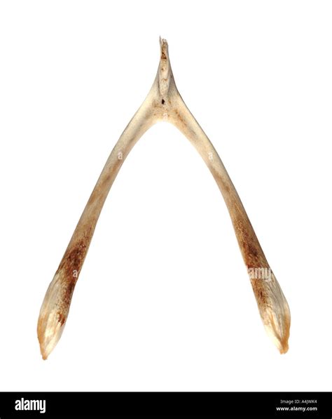 Wishing Bone Chicken