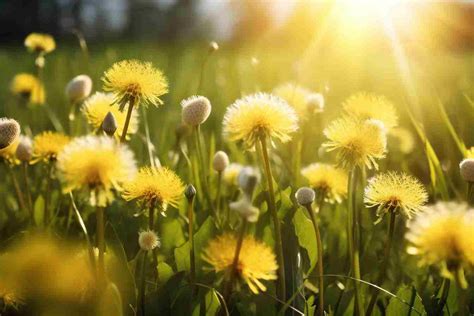 The Perfect Words: What to Write on a Card with Wishing Flowers