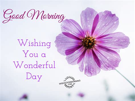 Beyond 'Have a Good Day': 50+ Perfect Ways of Wishing You a Wonderful Day